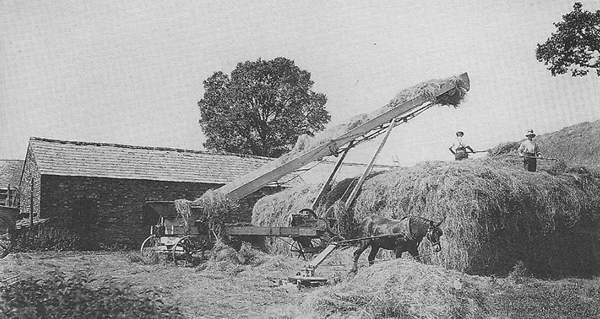 Haymaking